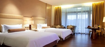 Dahongpao Resort Wuyi Mountain