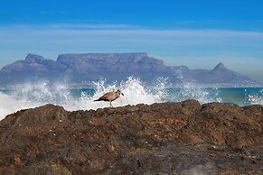 Eden on the Bay Studios