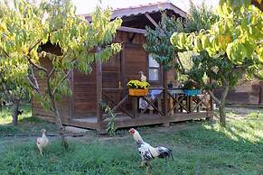 Salkim Konak Agac Evler