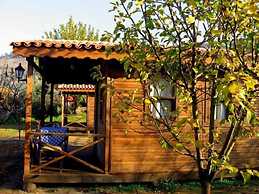 Salkim Konak Agac Evler