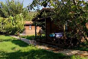 Salkim Konak Agac Evler