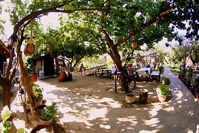 Salkim Konak Agac Evler