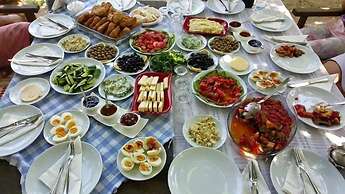 Salkim Konak Agac Evler