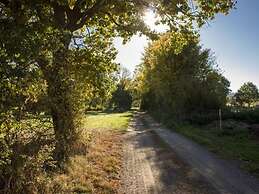 Rêves de Bois