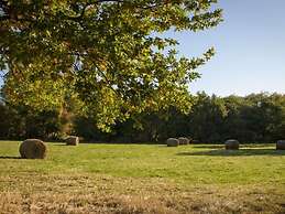 Rêves de Bois