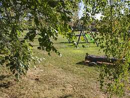 Rêves de Bois