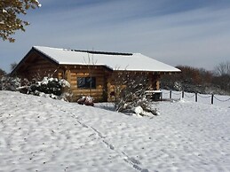 Rêves de Bois
