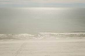 Tropical Winds Unit 701