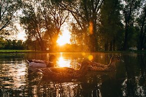 Usadba Skornyakovo-Arhangelskoye