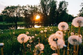 Usadba Skornyakovo-Arhangelskoye