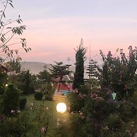 Tonkaew Khaokho Resort