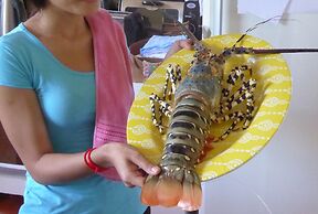 Island View Beachfront Resort