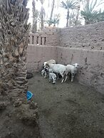 Riad Tagmadart Ferme D'hôte