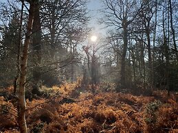 Town or Country - Greenwich Apartments