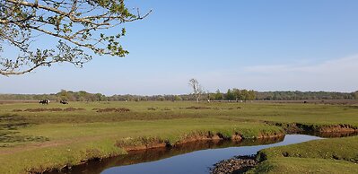 Town or Country - Greenwich Apartments