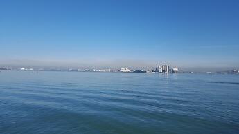 Town or Country - Greenwich Apartments