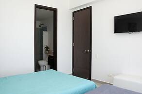 Palmetto Eliptic La Playas Bocagrande