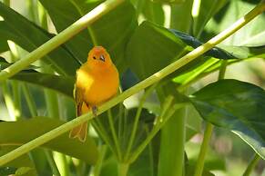 Hale Maluhia Country Inn