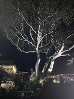 Hale Maluhia Country Inn