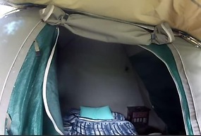 Hippo Island Okavango Delta