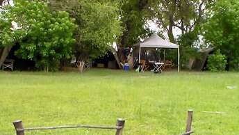 Hippo Island Okavango Delta