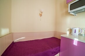 Hotel Teremok Moskovskiy