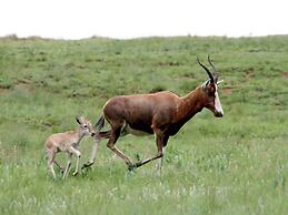 Sani Valley Nature Lodges