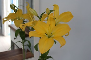 BlueSky Guest House Arniston