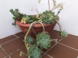 BlueSky Guest House Arniston