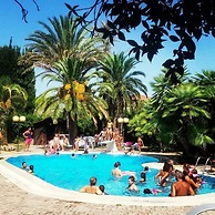 All'ombra del palmeto