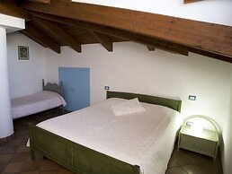 All'ombra del palmeto