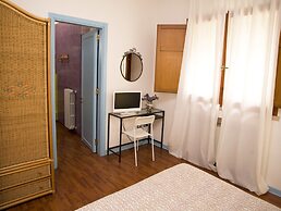 All'ombra del palmeto