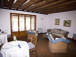 All'ombra del palmeto