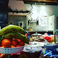 All'ombra del palmeto