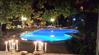 All'ombra del palmeto