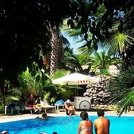 All'ombra del palmeto