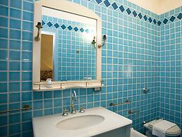 All'ombra del palmeto