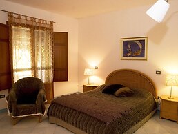 All'ombra del palmeto