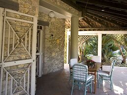 All'ombra del palmeto