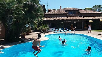 All'ombra del palmeto