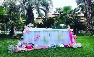 All'ombra del palmeto