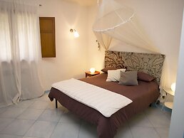 All'ombra del palmeto