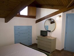 All'ombra del palmeto