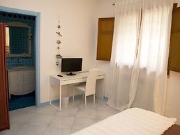 All'ombra del palmeto