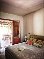 All'ombra del palmeto