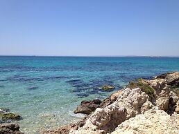 All'ombra del palmeto