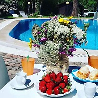 All'ombra del palmeto