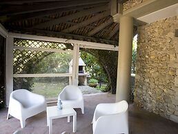 All'ombra del palmeto