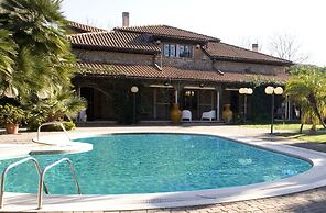 All'ombra del palmeto