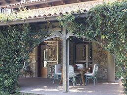 All'ombra del palmeto